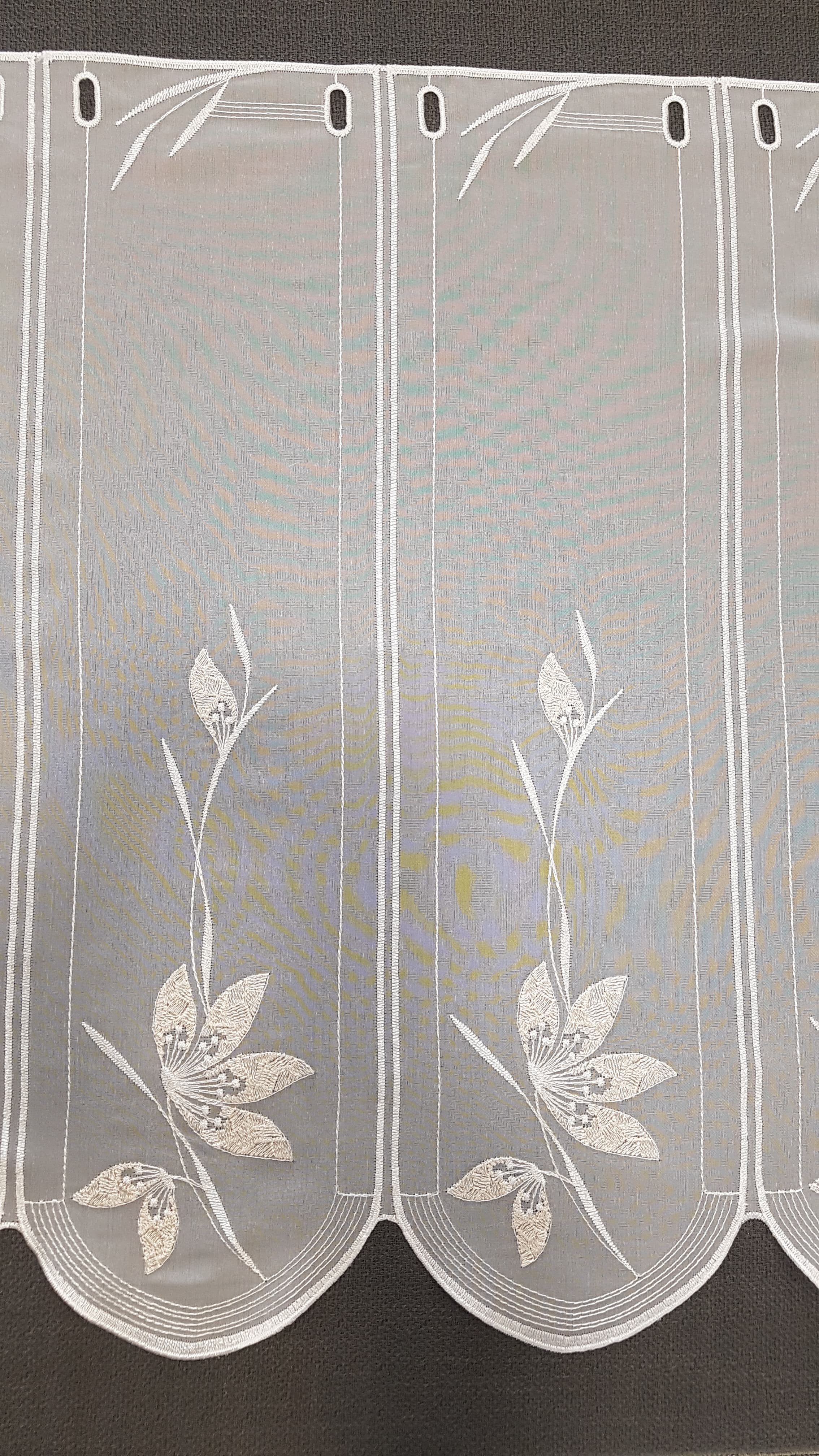 CA-34836-60-RO