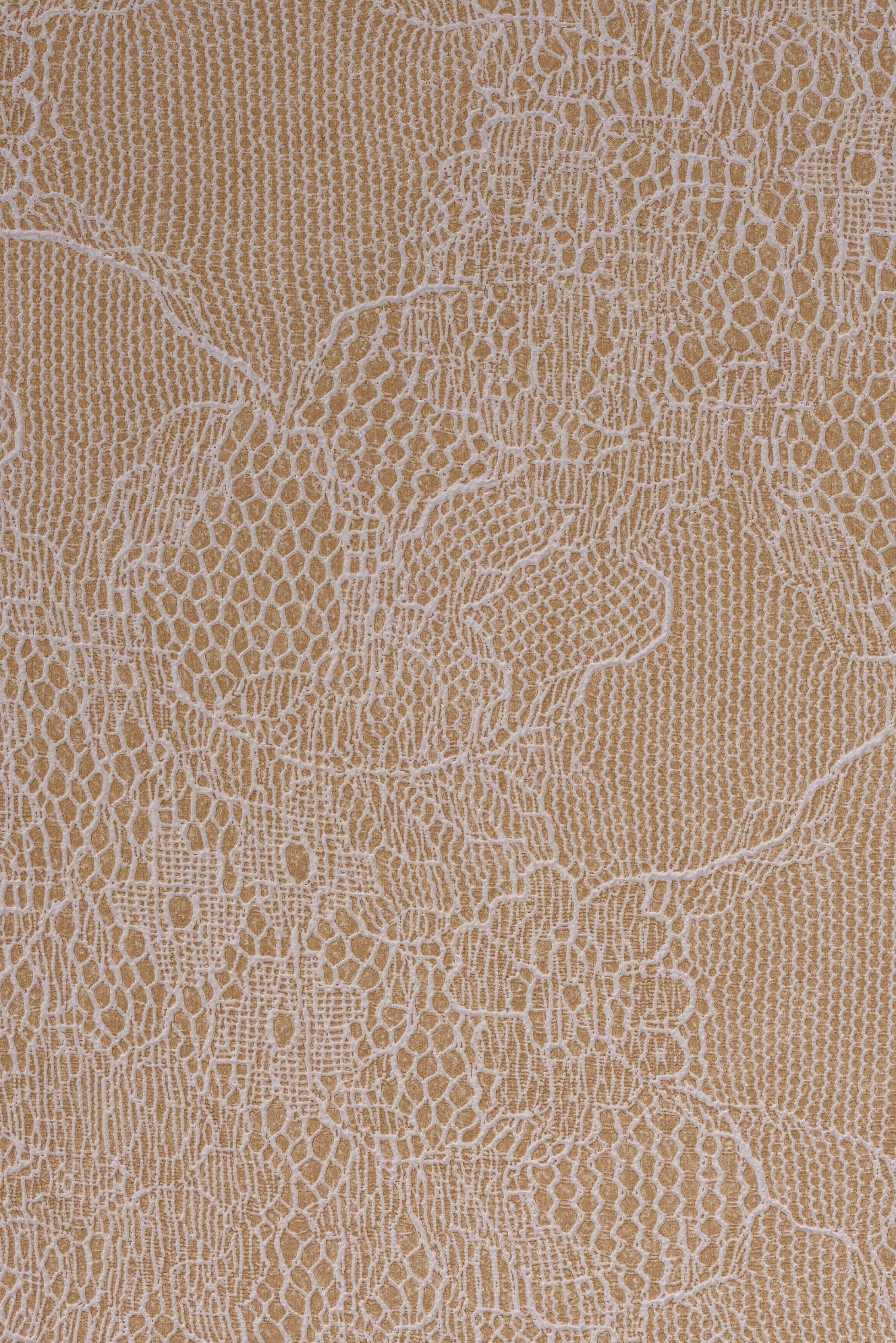 PRL Lace · 2207 Krem Bej
