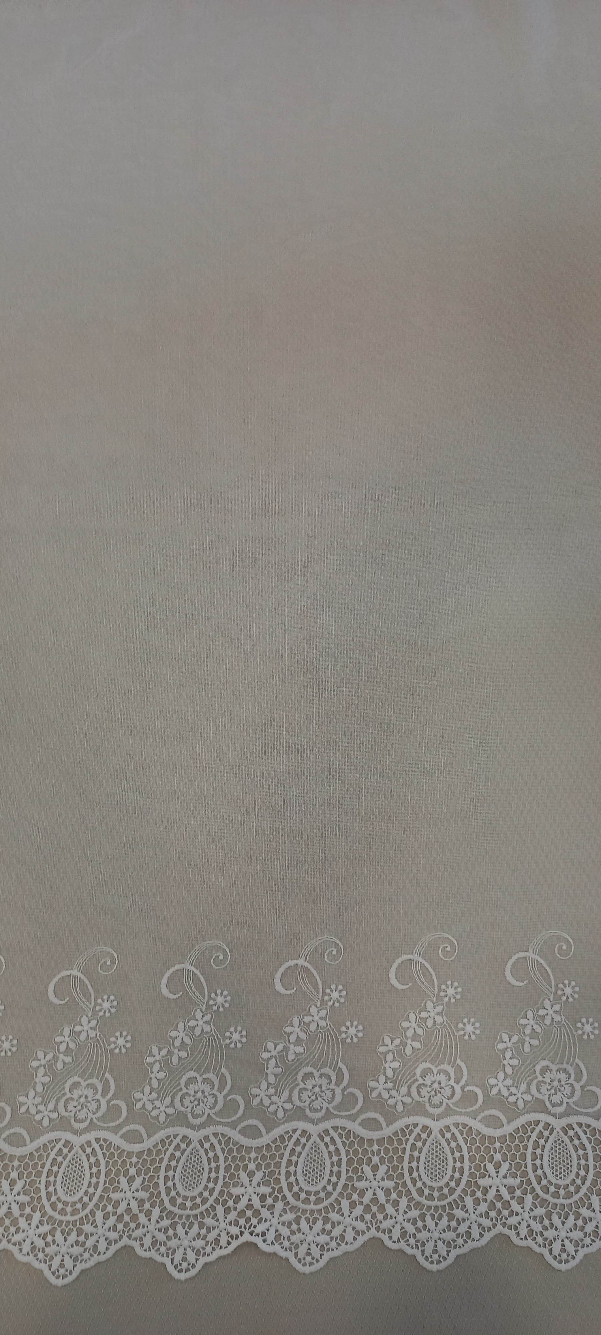 B1-113031-21-O