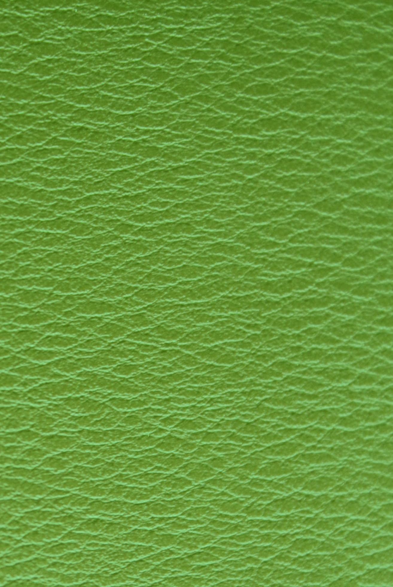 Loft · AY-GREEN