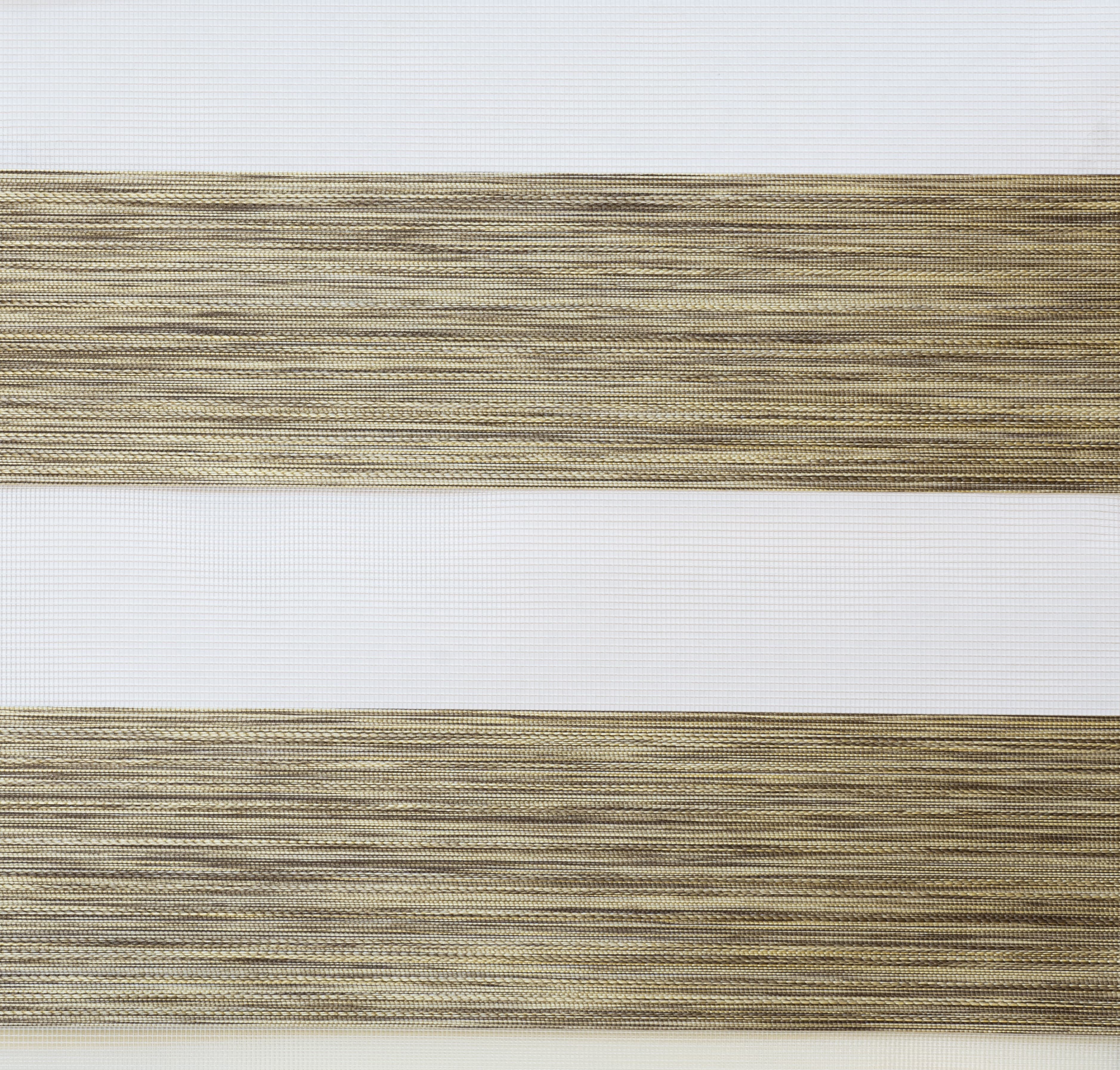 11665