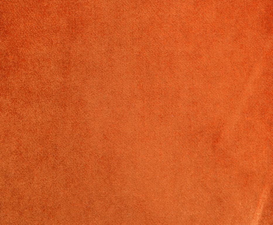 SAFARI