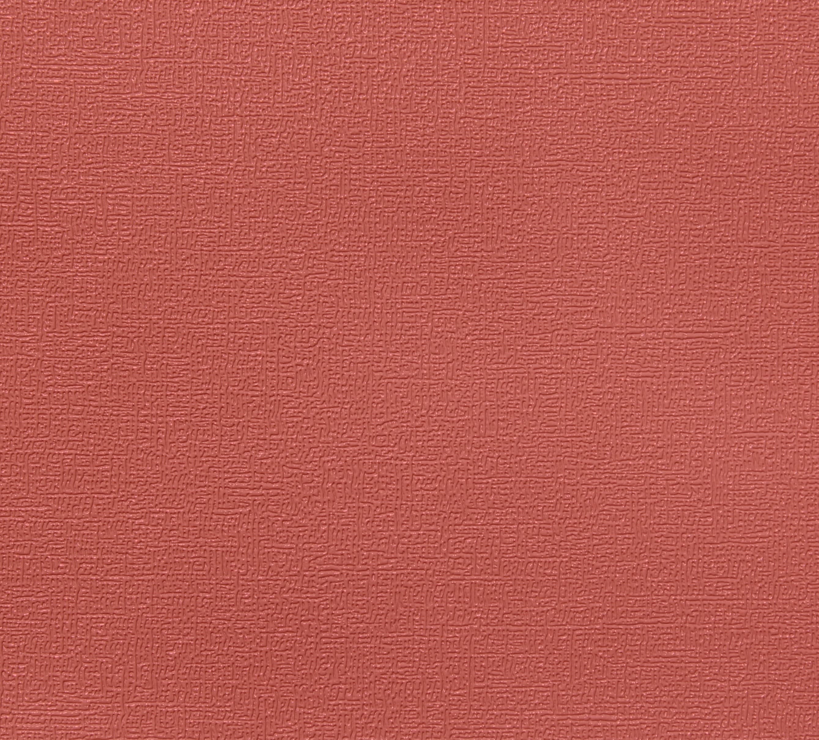 Taycan · DS-RED