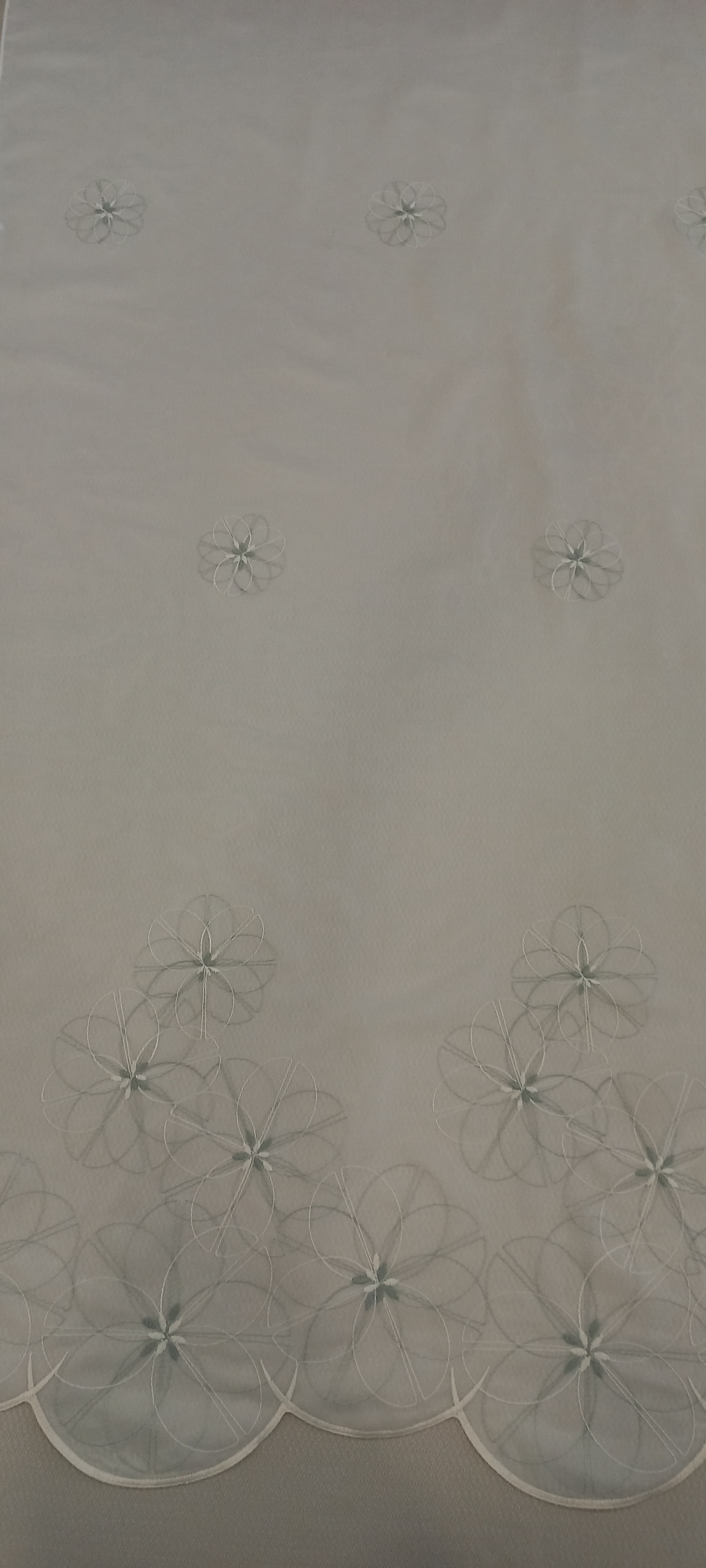 PA-54518-245-RO
