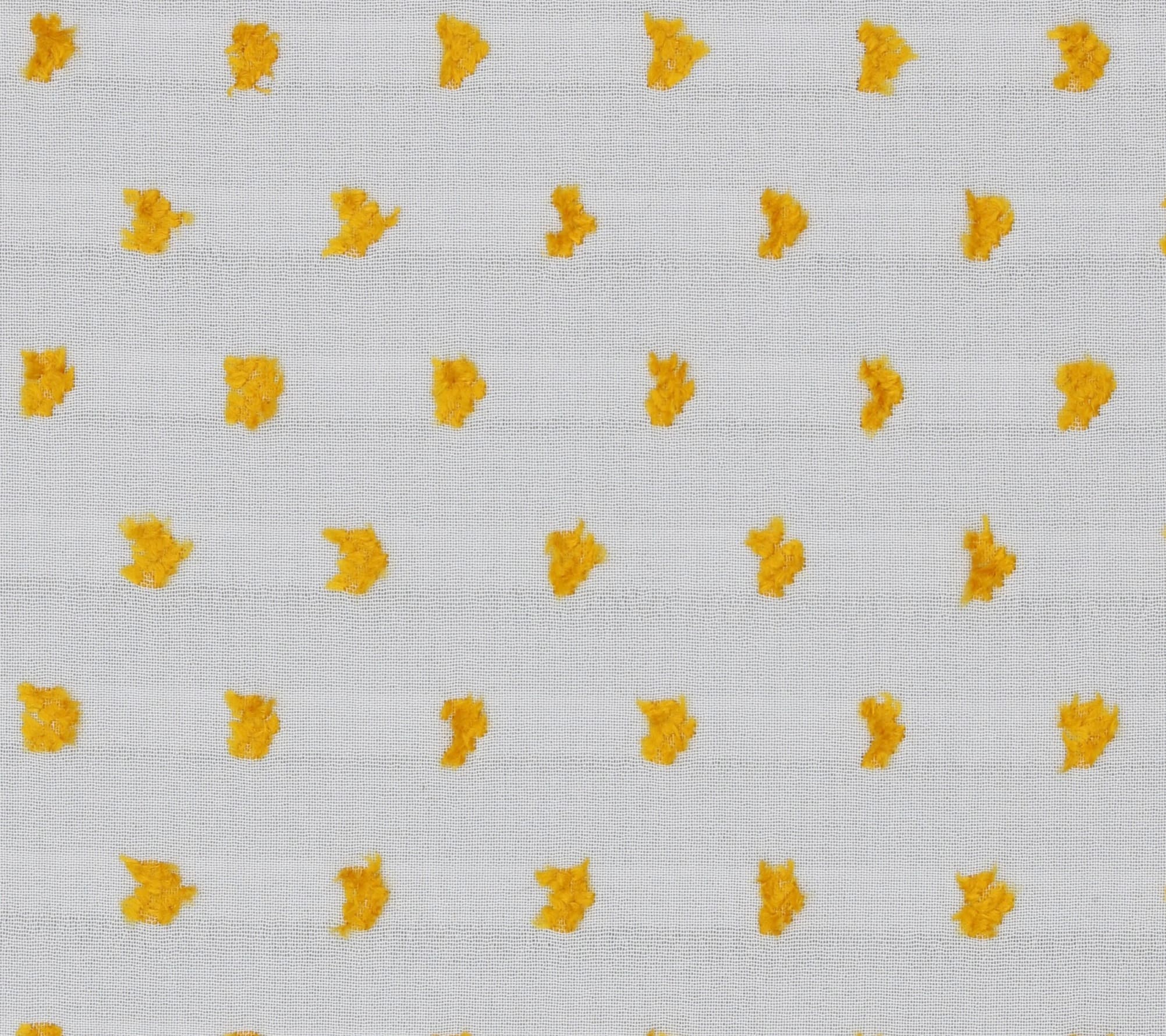 CROP TIERRA 02