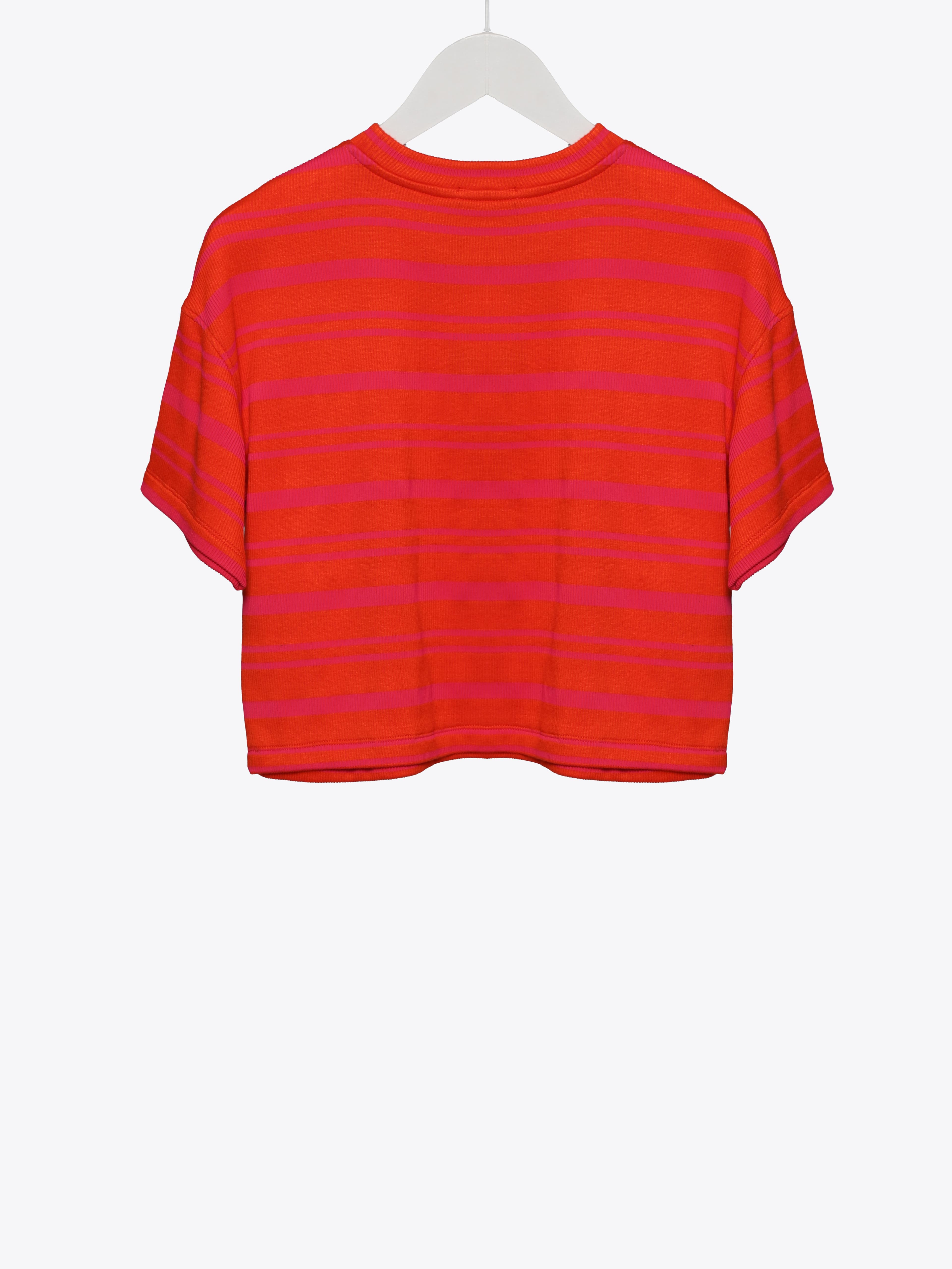 STRIPE CROP T-SHIRT 2