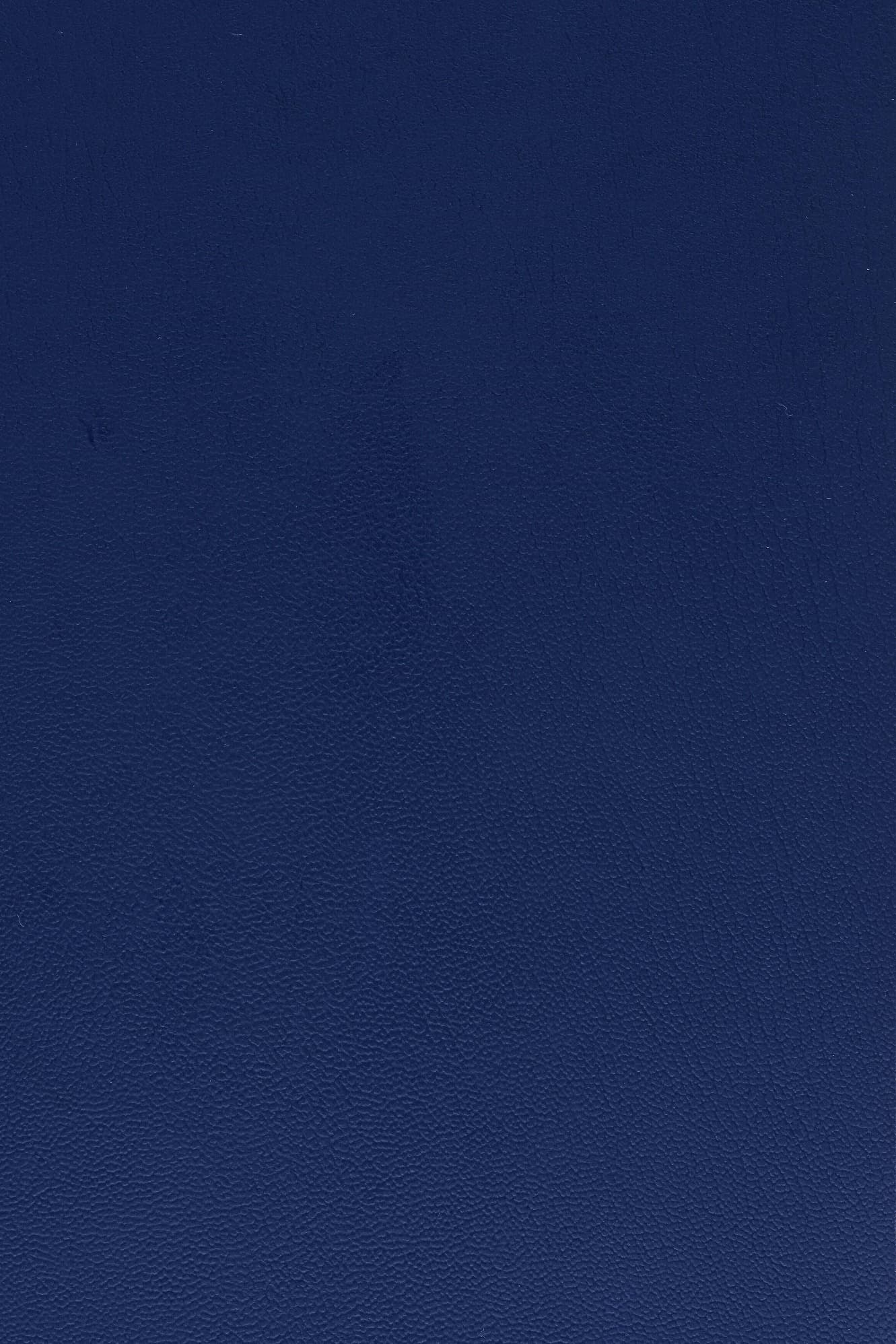 PES Poseidon · 4576 Lacivert