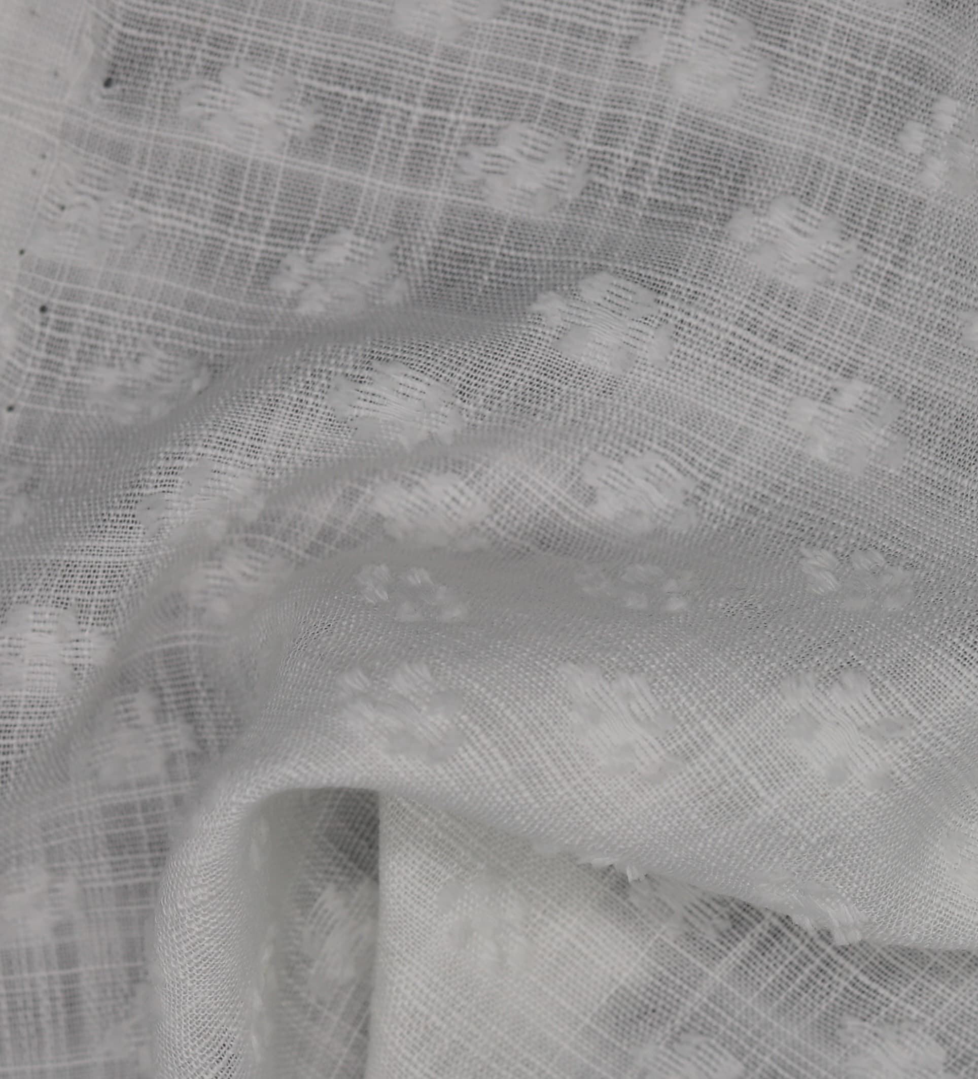 DAİNTREE 01 2