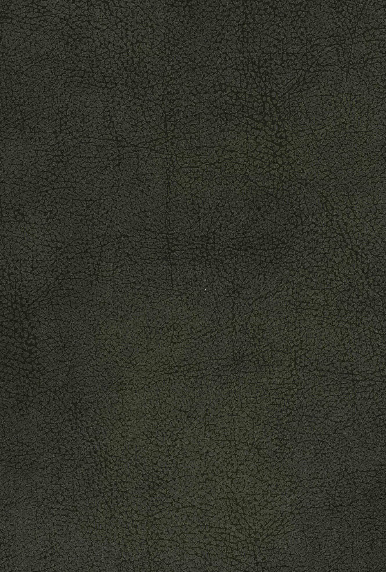 PES Pelikan