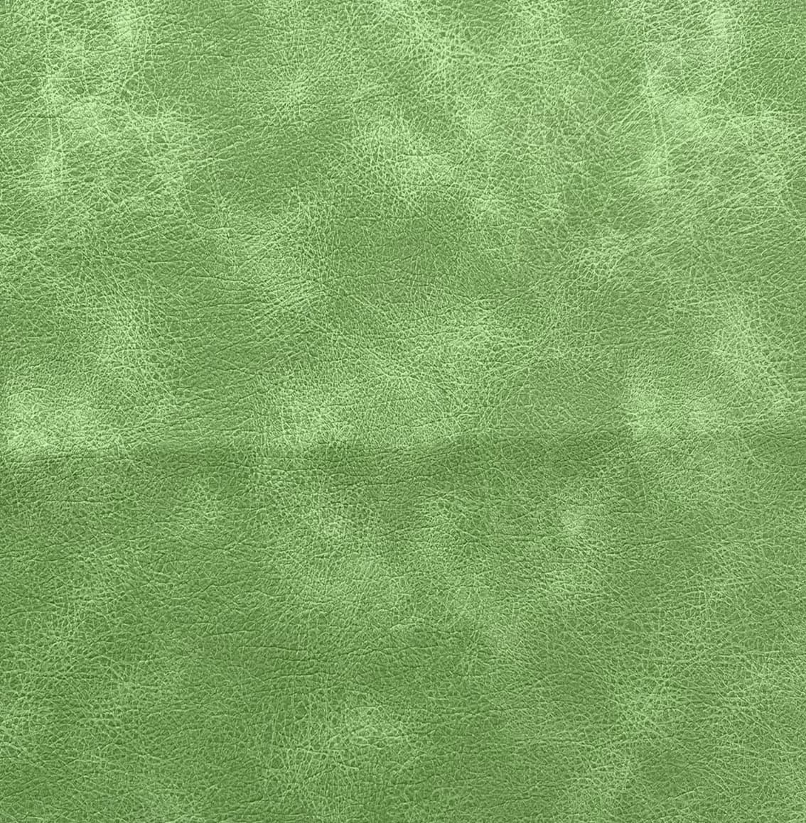 Turin · DS-GREEN