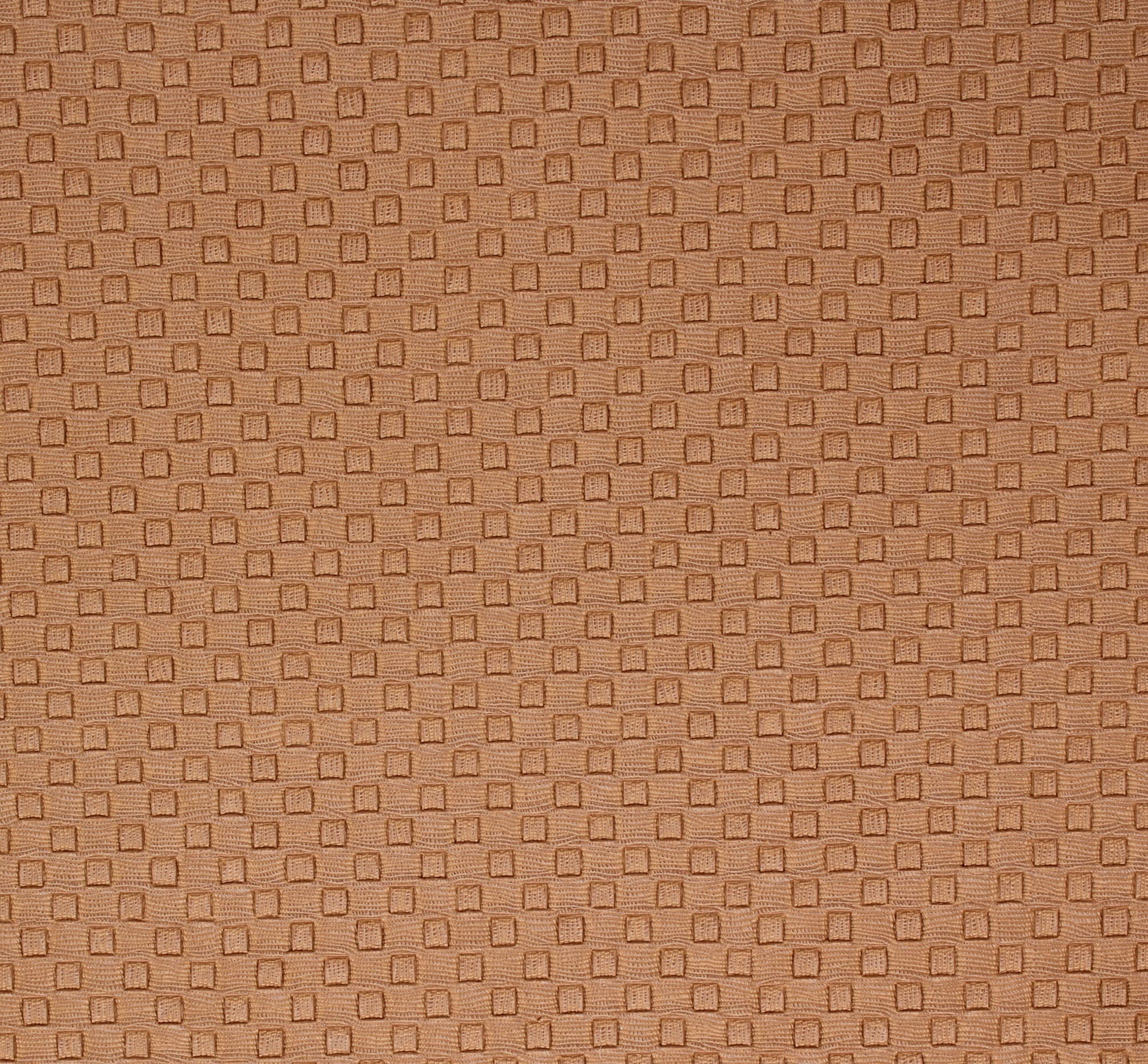 Camino · CAMINO-TAN