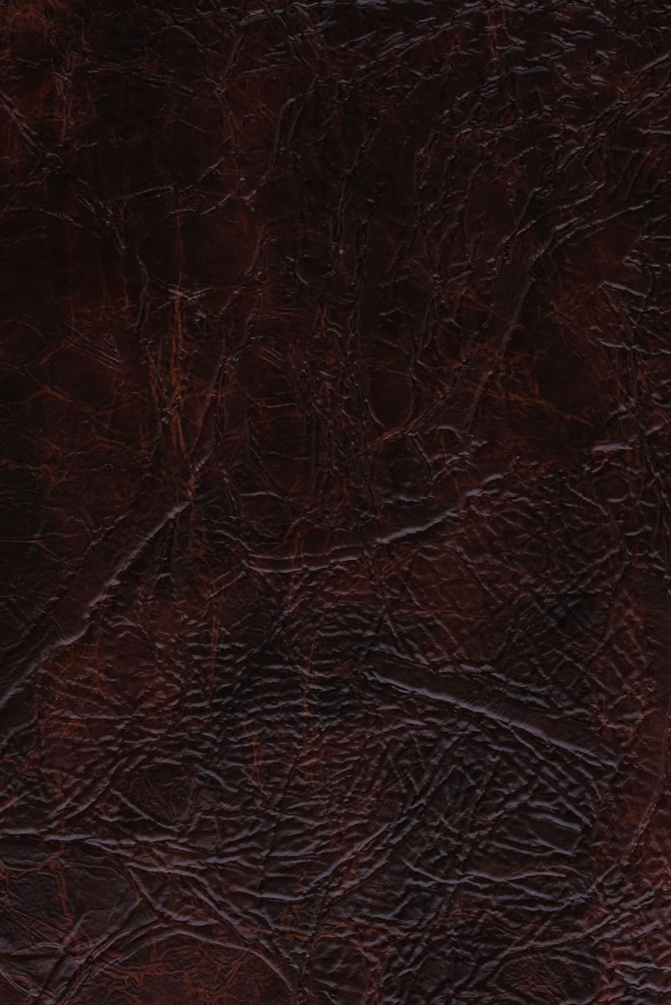 PES Helen