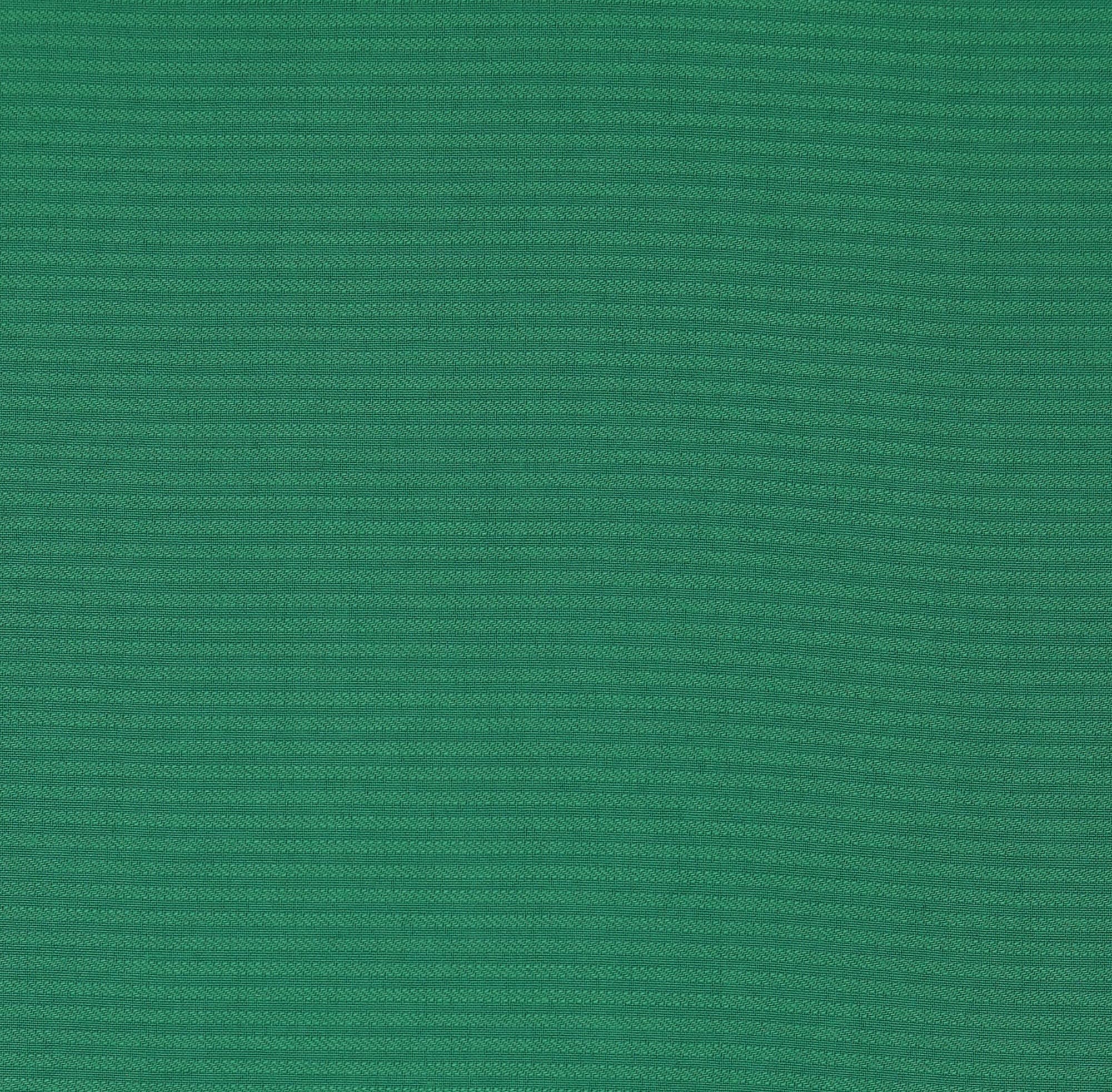 HYBISCUS 01