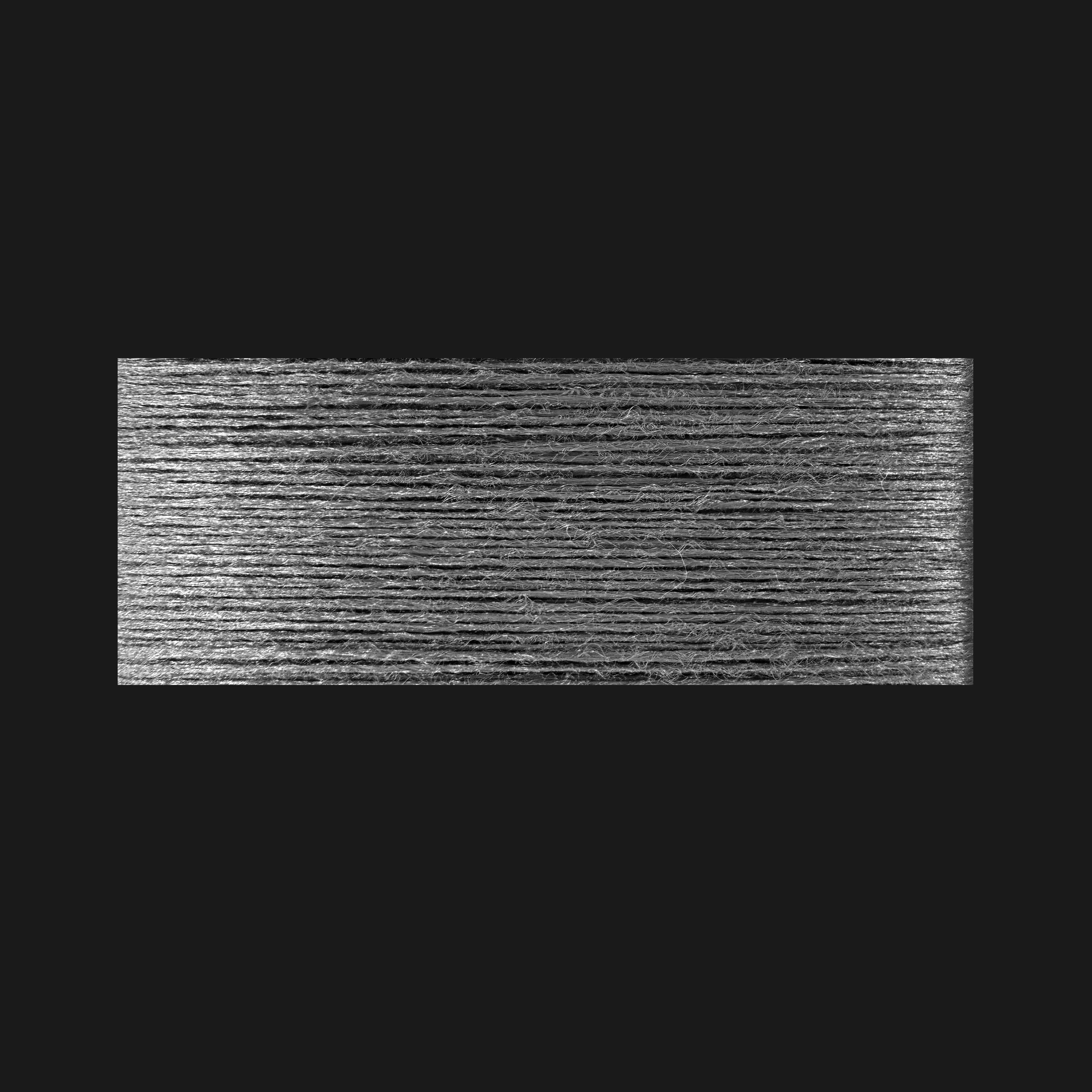 FR RENAT 300