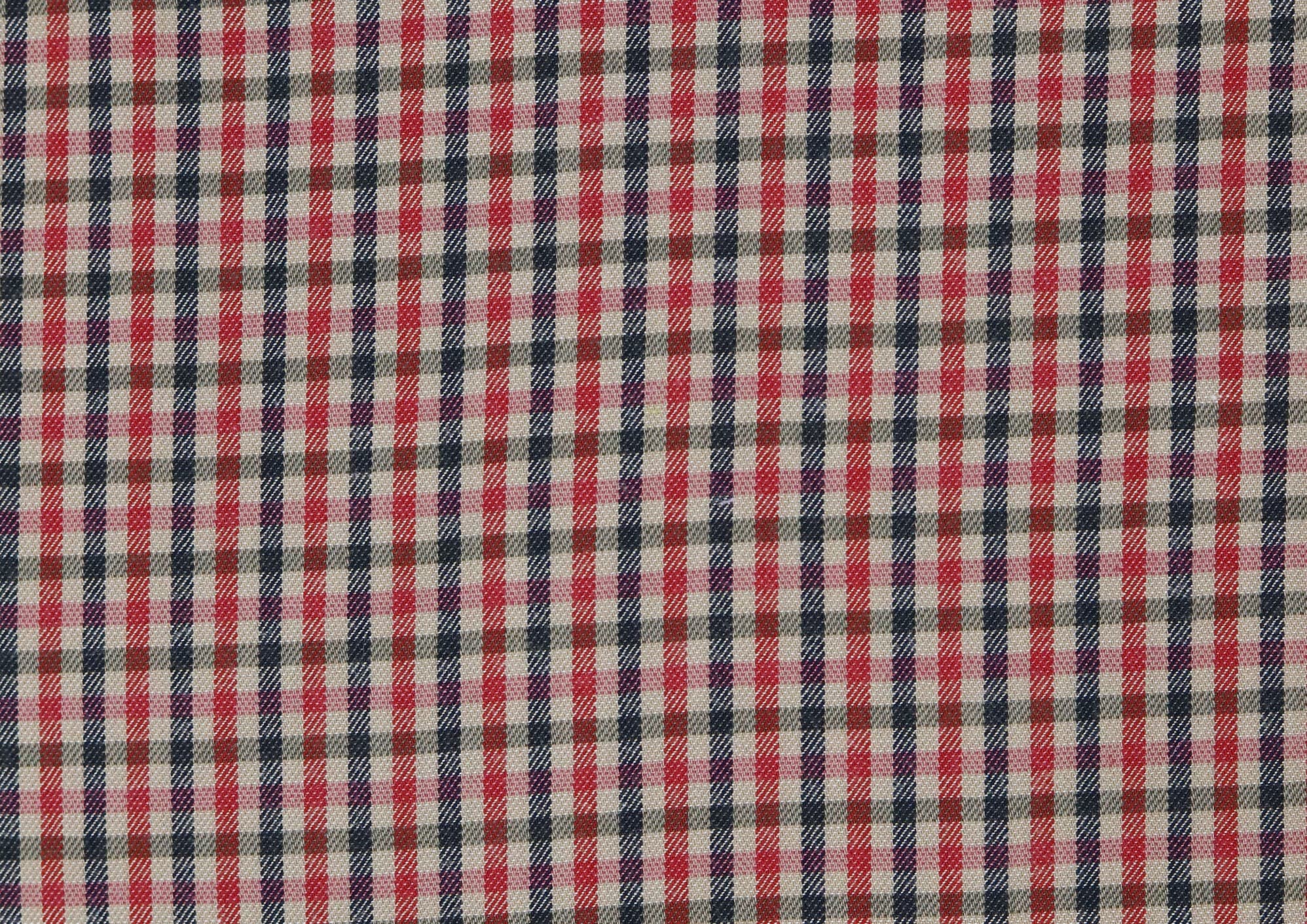 DOGES 01 · V 01