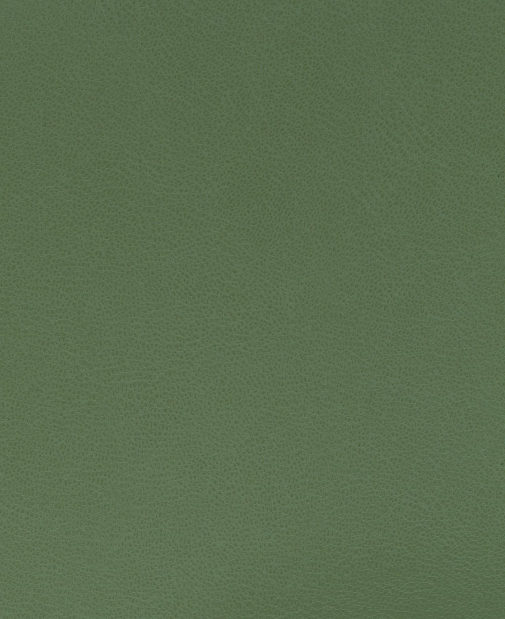 Avrasya · AVRASYA-GREEN