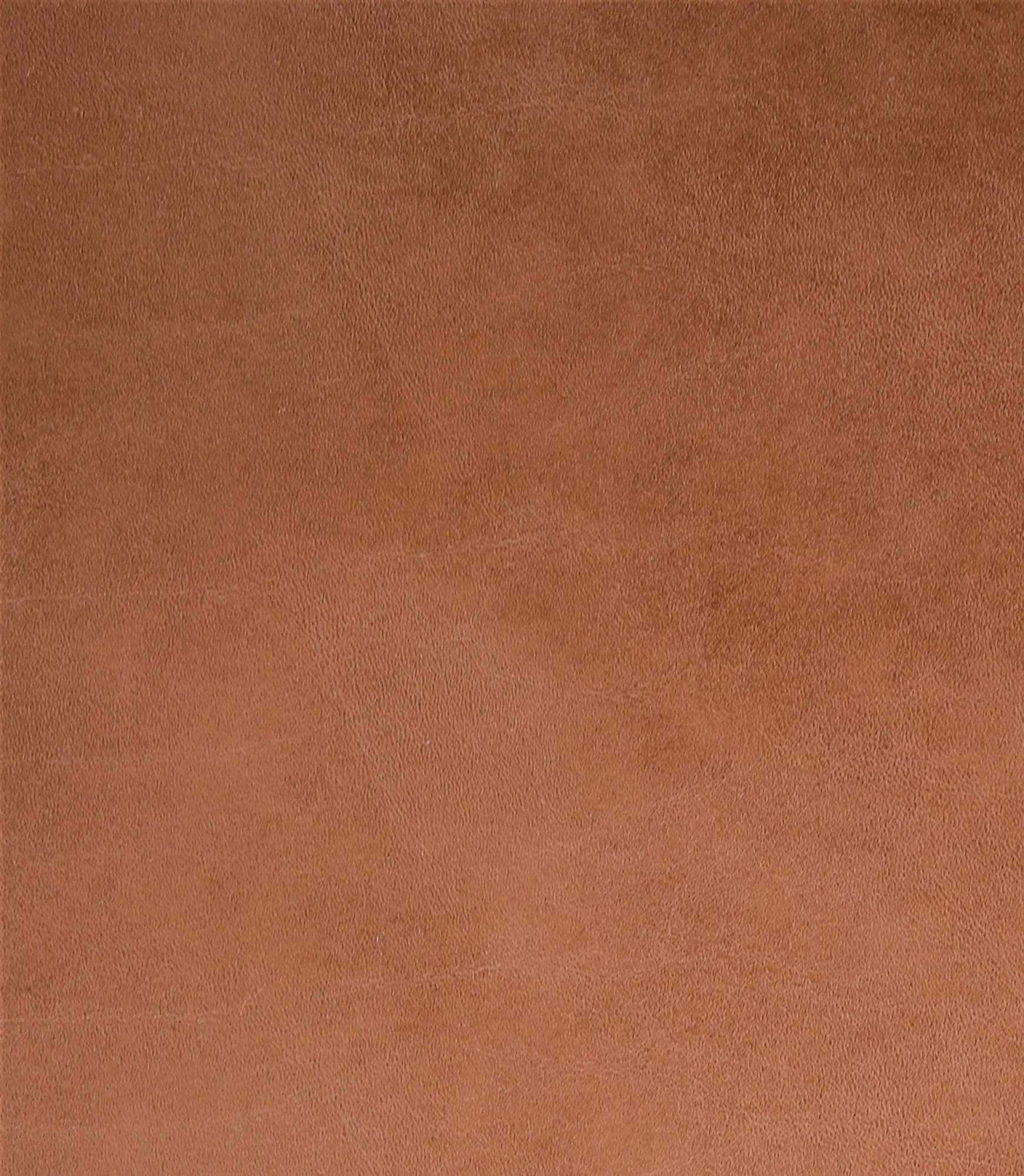 Toro · TORO-CAMEL