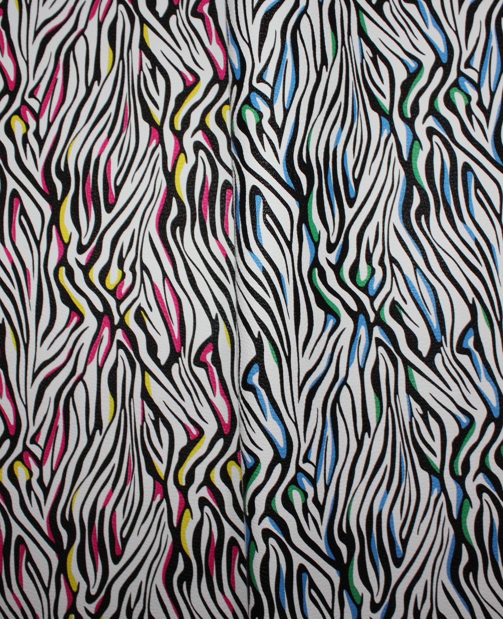 Zebra 2