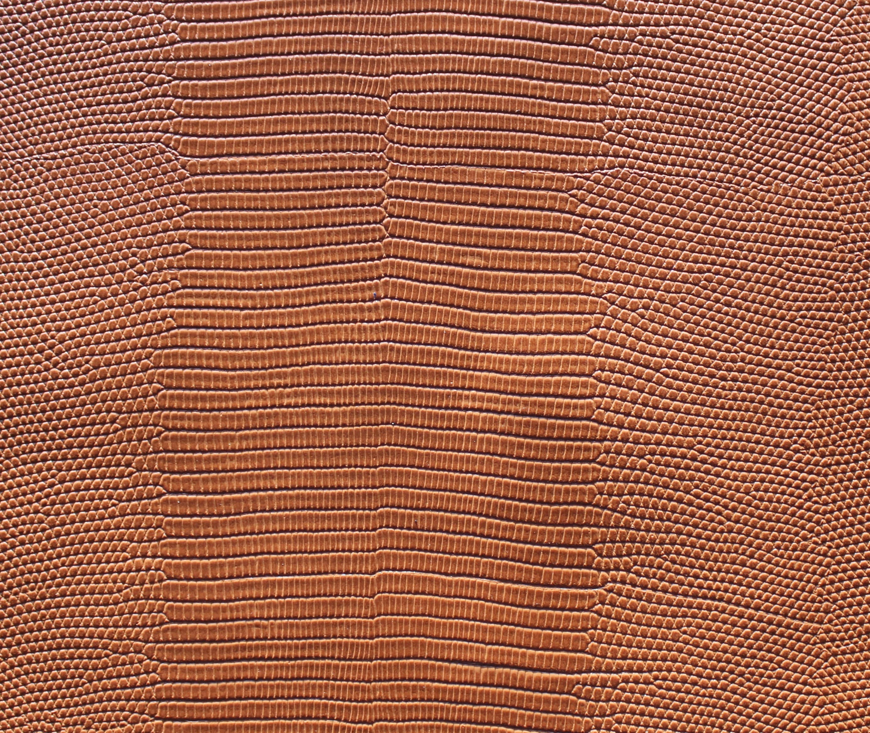 Venezia