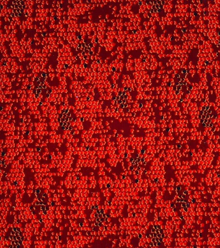 POLYESTER/KDK  · 2883