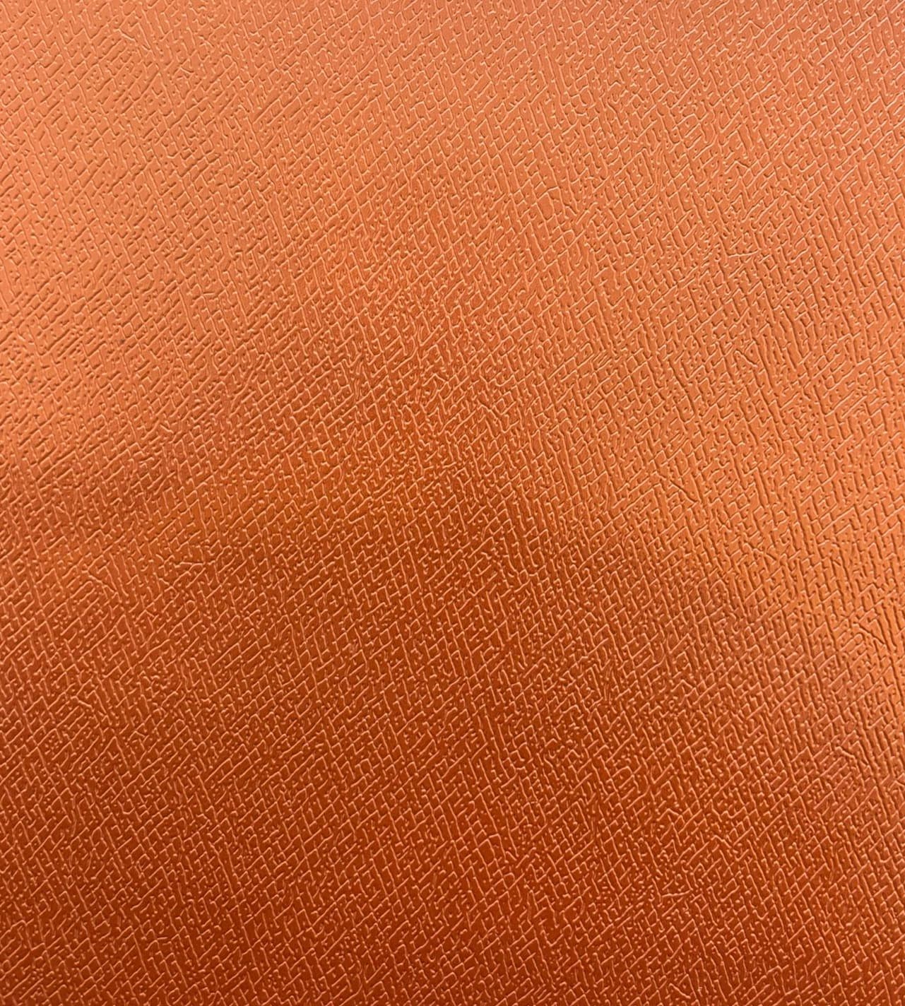 Champ · AY-ORANGE